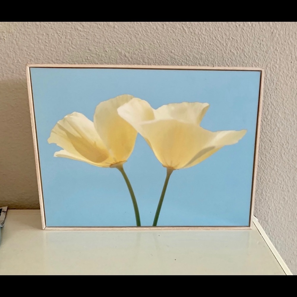 Wall Art, Blue Sky Floral Print on Wood Frame
13x10.5”
